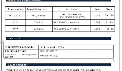 Image result for Computer Engineering Student Resume Sample