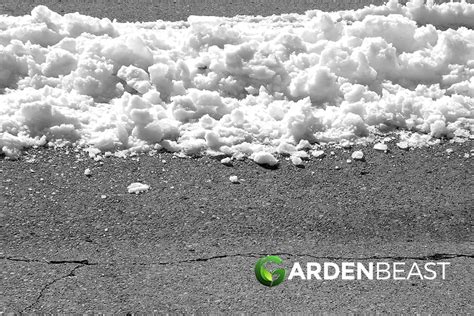 Image result for Ice Scraper Reviews