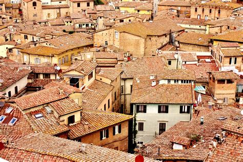 Image result for Python Siena