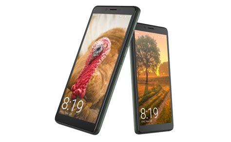 Vsmart Bee Lite: ecco le caratteristiche ed il suo prezzo