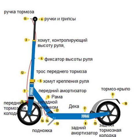 Самокат. Виды и устройство. Работа и применение. Как выбрать