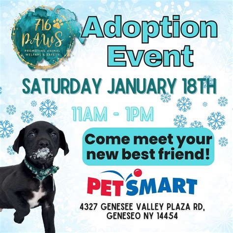PetSmart Adoption Event - Geneseo, 4327 Genesee Valley Plz, Geneseo, NY ...