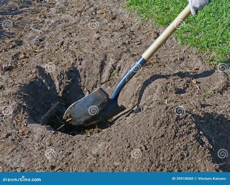 Dig Hole 的图像结果