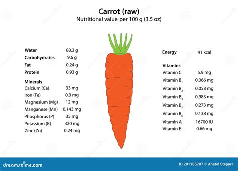 Carrot (raw). Nutritional Value Per 100 G (3.5 Oz). Stock Vector ...