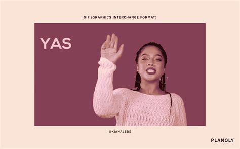 Image result for Graphic Design File Structure