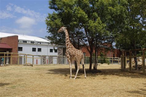 Blog | Chattanooga Zoo