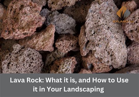 Lava Rock: What It Is, And How To Use It In Your Landscaping
