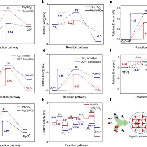 Image result for H2O2 Fizzing Reactions