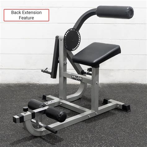 Image result for Arm and Back Machine