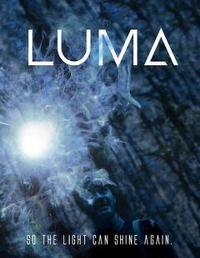 Luma Channel 的图像结果