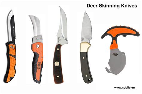 Best Deer Skinning Knife for a Clean Cut