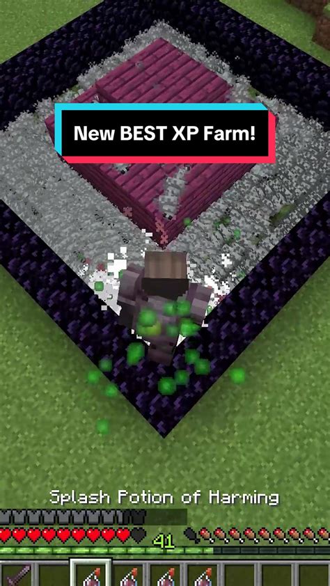 Image result for Best Exp Farm Minecraft Java 1.17