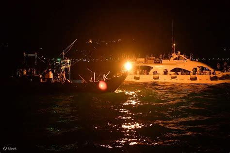 Keelung Sea Firefly Yacht Tour & Squid Fishing & Squid Vermicelli ...