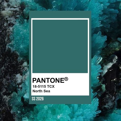 🌿 Transformative Teal – SS 2026 🌿 Eco-friendly. Regenerative. Inspiring ...