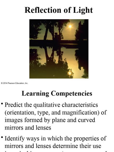 Reflection of Light and Mirrors | PDF | Mirror | Reflection (Physics)