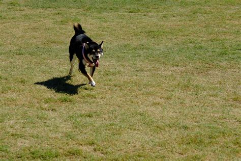 Discover the Best Parks in Plano: A Gateway to Outdoor Adventure ...