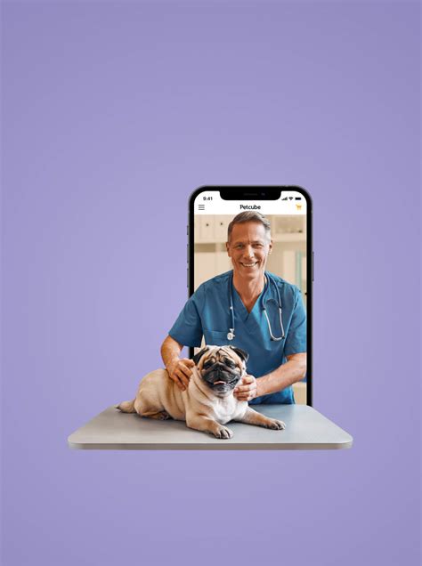 Syncope in Dogs: All You Need to Know About Dog Fainting