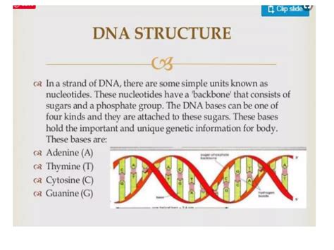 DNA Sequencing For Dummies 的图像结果
