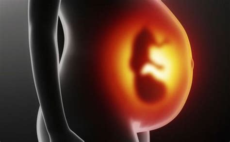 怀孕10周胎儿发育过程图_孕期知识_育儿_99健康网