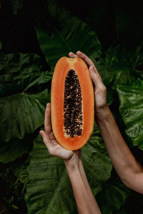 Can We Eat Papaya During Periods?- The Popular Period Diet