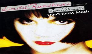 Image result for Don't Know Much