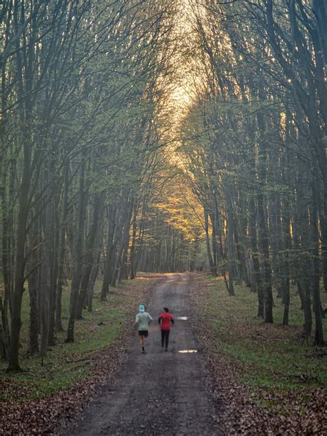 Outdoor Trail Running 的图像结果
