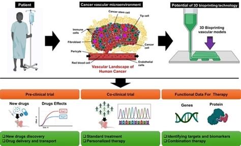Advancement in Cancer Vasculogenesis Modeling through 3D Bioprinting ...