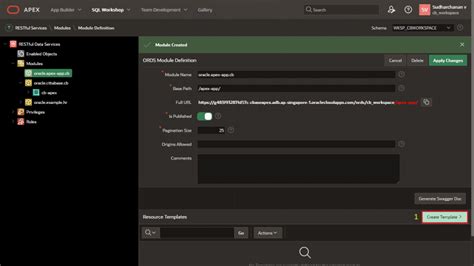Image result for How to Apply API in Apex