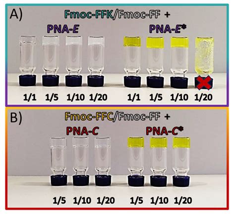 Investigating the Interactions of Peptide Nucleic Acids with ...