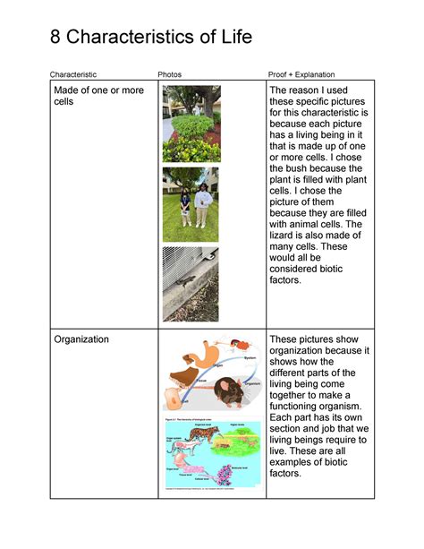 8 Life Characteristics