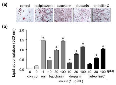 Effects of Baccharin Isolated from Brazilian Green Propolis on ...