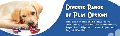 Buy Agirav Dog Rope Toys + Chew Toys, Combo Pack of 7 (Color May Vary ...