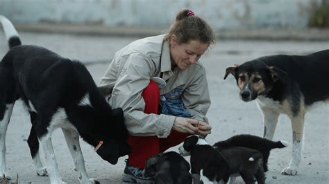 Doggo Radioactive 的图像结果
