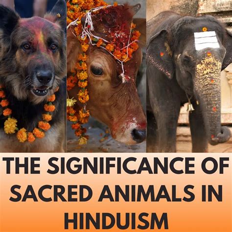 Articles on Hinduism: Beliefs, Practices & Culture