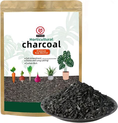 Amazon.com : ZFYOUNG Organic Activated Charcoal for Garden - Garden ...