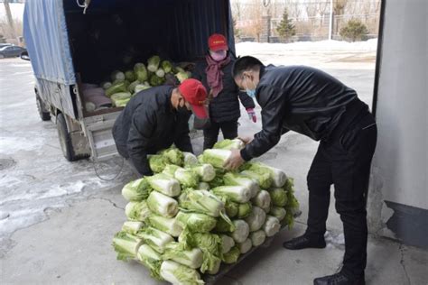 公主岭市一贫困户滞销2万斤白菜卖上了好价钱-中国吉林网