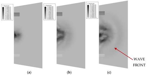 Innovative Elastography Measuring Cap for Ex Vivo Liver Condition ...