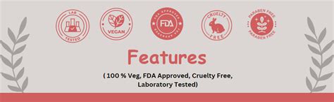 Buy ASMEE Classic Nail Polish, Quick Dry, Glossy Gel Finish, Paraben ...