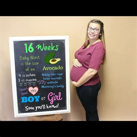 Plus Size Pregnancy Belly 16 Weeks