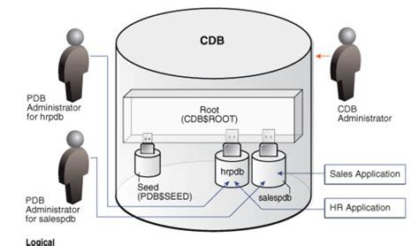 Oracle DB Tutorial 的图像结果