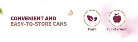 Morton Fruit Cocktail & Pineapple Slices Combo | No Preservatives ...