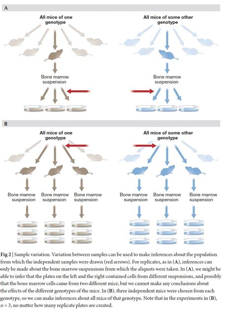 Image result for Statistical Methods of Variation