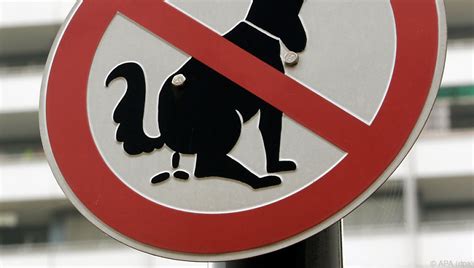 Streit um Hundehaufen führt zu Morddrohung - UnserTirol24
