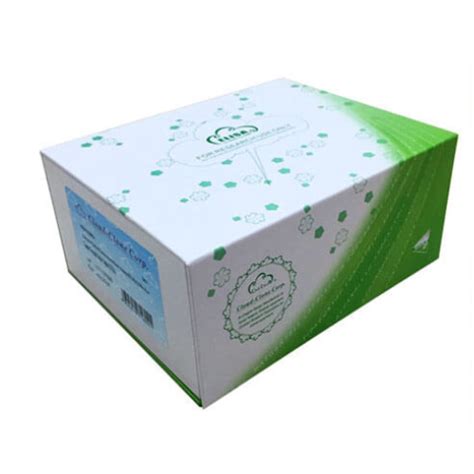 Mini Samples ELISA Kit for Immunoglobulin A (IgA)