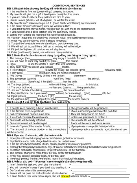 Image result for Conditional Sentences PDF