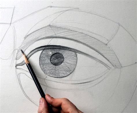 Image result for Cunstructive Figure Drawing