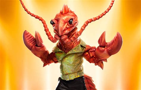 Image result for Masked Singer Book