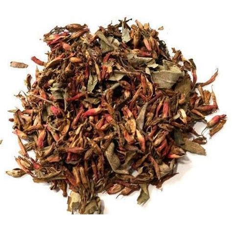 BSD Organics HerbY Breathe Free LIFERR Dhawai Flower/Dhataki Flower ...