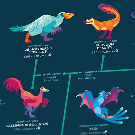 Dinosaur Evolution 的图像结果
