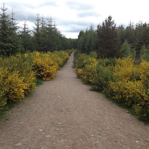 VISITSCOTLAND - DAVIOT WOOD INFORMATION CENTRE (2026) All You Need to ...
